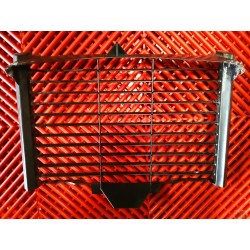 Grille de Radiateur pour FZ6S 04-06