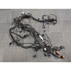 Faisceau électrique avec ABS pour ER6 06-08