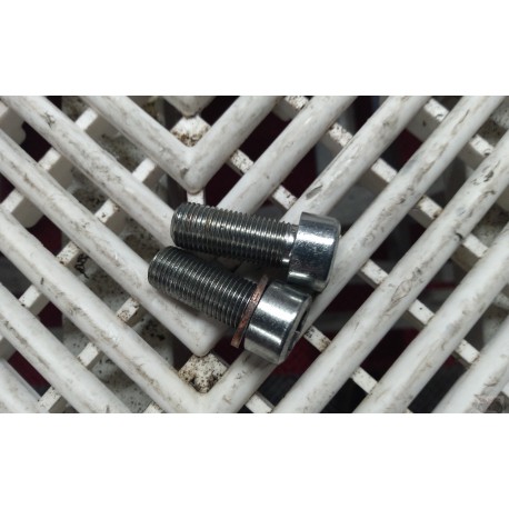 Vis de plongeur de fourche pour MT07