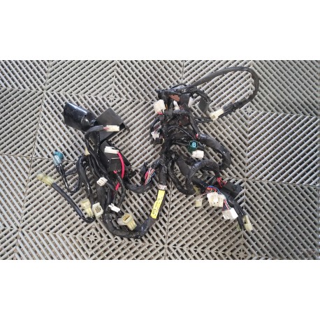 Faisceau électrique FZ6 04-06