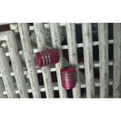Bouchons de valve anodisés rouge