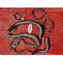 Durites pour ZX6R 2003 à 2004