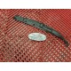 Protection de bras oscillant 1050 Speed Triple 11-15