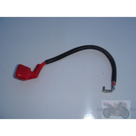 Cable de batterie pour 600GSR 2007