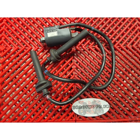 Bobine 2-3 FJR 1300 2006-2012