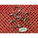 Colliers de durites de refroidissement pour FJR 1300 2006-2012