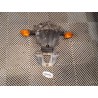 Bavette arrière support de plaque pour BT1100 Bulldog 01-07