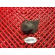 Protection pour BT1100 Bulldog 01-07