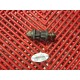 Fixation d'echappement Z800 2013-2016