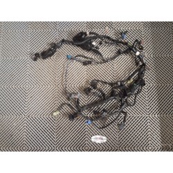 Faisceau Z800 2013-2016