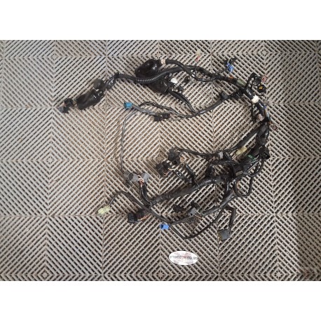 Faisceau Z800 2013-2016