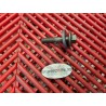 Vis de Rotor d'allumage de R1 2002-2003