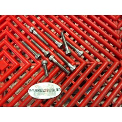 Vis de Carter d'allumage R1 2002-2003