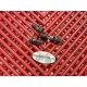 Raccords banjos de frein avant de 1300 GSXR HAYABUSA 99-07