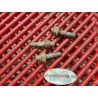 3 goujons d'échappement de 502 TRK 16-22