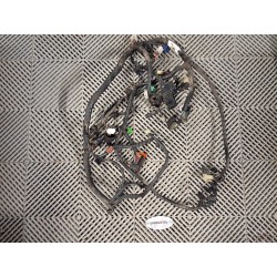 Faisceau principal ABS 650 Bandit 07-08