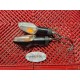 Clignotants arrières CBR 125 R 11-16 