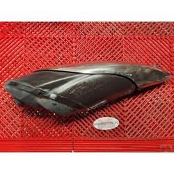 Echappement 650 SFV Gladius