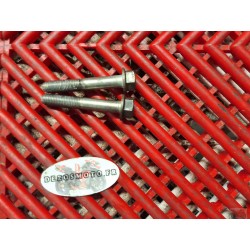 Vis d'étrier de frein avant de KTM 125 Duke 11-12 