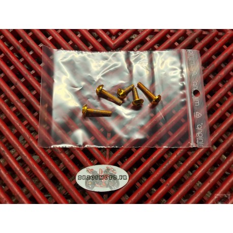 Vis de trappe a essence de 848, 1098, 1198