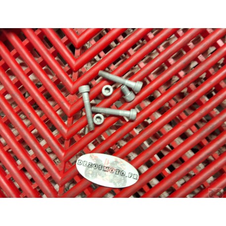 Vis de trappe à essence pour 690 Duke 2016--2019