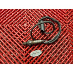 Sonde lambda de BMW R1150 GS 99-03 