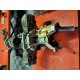 Moteur de BMW R1150 GS 99-03 