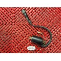 Bobine pour 640 Duke II 98-07 