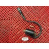 Bobine pour 640 Duke II 98-07