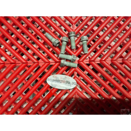 Vis de disque de frein avant pour 640 Duke II 98-07