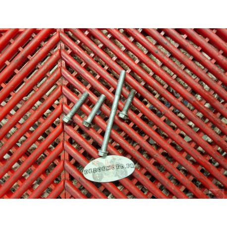 Vis de carter d'alternateur pour 640 Duke II 98-07