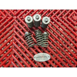 Ressorts d'embrayage pour 640 Duke II 98-07