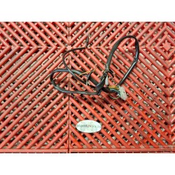 Faisceau de sondes moteur pour 640 Duke II 98-07