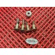 Vis de fixation platine repose pied gauche Ducati 620 Monster 2002-2006