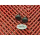 Bouchons de bras oscillant Ducati 620 Monster 2002-2006