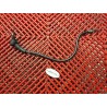 Câble de démarreur Ducati 620 Monster 2002-2006