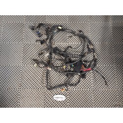 Faisceau Ducati 620 Monster 2002-2006