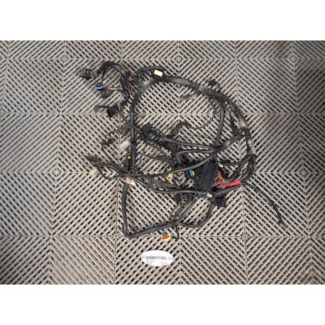 Faisceau Ducati 620 Monster 2002-2006
