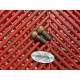 Vis d'etrier de frein avant Ducati 620 Monster 2002-2006