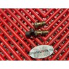 Raccords banjo d'embrayage Ducati 620 Monster 2002-2006