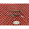 Prises de clignotants arrière de R6 03-05