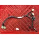 Faisceau de tableau de bord pour R6 03-05