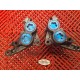 Etriers de frein avant de R6 03-04