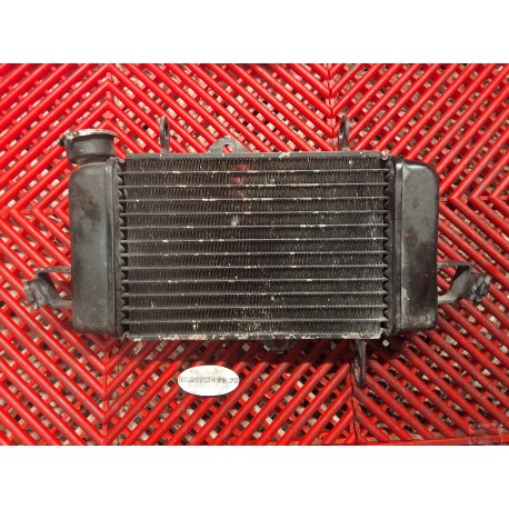 Radiateur pour YZF R125 08-13 
