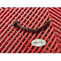 Sangle de batterie pour YZF R125 08-13 