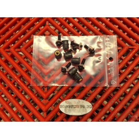 Fixations de bulle pour YZF R125 08-13 