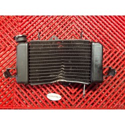 Radiateur pour YZF R125 08-13 *