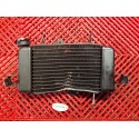 Radiateur pour YZF R125 08-13 *