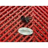 Sonde d'air de 944 ST2 Ducati 