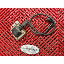 Bobine cylindre arrière de 944 ST2 Ducati 